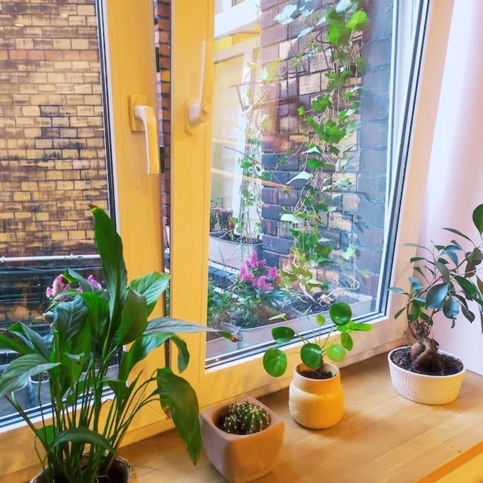 Poznanski Pryzmat Apartment *